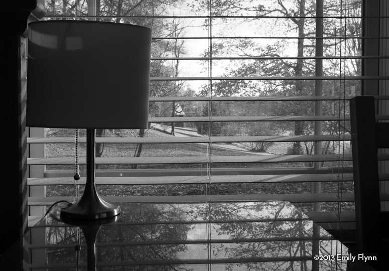 Window Reflection ©2013 Emily Flynn